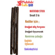 Matatabi Cats Doğal Kedi Oyuncağı 3 Lü Küçük Kemirme Çubuğu 12 cm Eğlenceli Kullanım