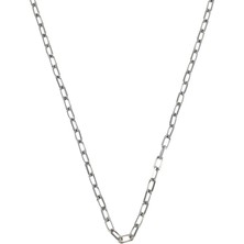 Gümüş Kaplama Çelik Forsa Zincir Kolye