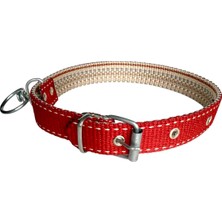Braventa Collection Tasma Atalier Köpek Boyun Tasması (Kırmızı)
