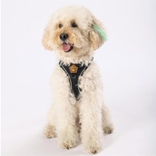 Braventa Collection Pawstar Siyah Air-Mesh Göğüs Tasması Kedi Köpek Göğüs Tasması Siyah 3xs