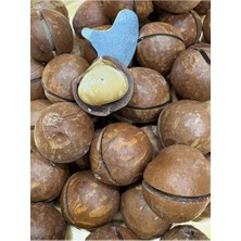 Nakkaşoğlu Kuruyemiş Vanilya Aromalı Kabuklu Makademya Fındığı 1 kg