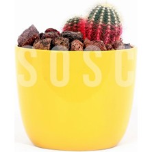 Hype Store Kırmızı Pomza Taşı 2-3 cm Volkanik Cürüf Ponza Kırığı 1 Lt