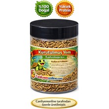 Koçlar Kurutulmuş Kaplumbağa Yemi 200 Adet Türkiye Menşeli Doğal Lezzetli Atıştırmalık