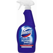 Hype Store Çok Amaçlı Hijyenik Çamaşır Suyu Katkılı Temizlik Spreyi 750 ml