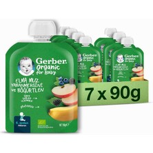 Hype Store Gerber Organik Muz Yabanmersini Böğürtlen ve Elma Püresi 90 G x 7