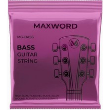 Hype Store Maxword Gt-Bass Kaliteli Bas Gitar Teli 1 Takım Set