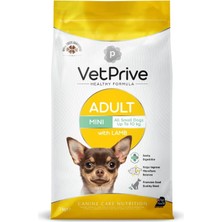 Hepta Collection Vetprive Vet Prive Mini ve Küçük Irk Yetişkin Köpek Maması Kuzu Etli 3 kg