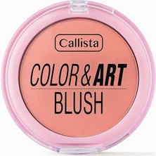 Delixa Color Art Blush Allık 180 Pink Perfection