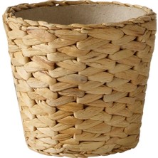 Delixa Frıdfull 12 cm Hasır Saksı Doğal Sü Sümbülü