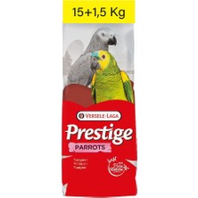Hepta Collection Versele Laga Parrots (Papağan) Yemi 16,5kg