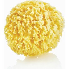 Delixa Babyjem Doğal Deniz Banyo Süngeri