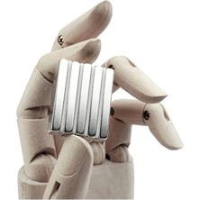 Hepta Collection Hdg Neodyum Mıknatıs Dekoratif Magnet Güçlü Çekim 30X10X4 mm 5 Adet