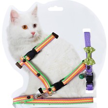 Hepta Collection X-Perk Kedi Göğüs Bel Gezdirme Takımı Boyun Tasma Hediyeli