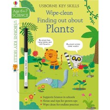 Key Skills Wipe Clean Finding Out About Plants 6-7