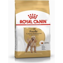 Delixa Canin Poodle Yetişkin Köpek Maması, 3 kg