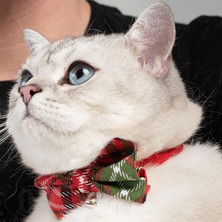 Delixa Patipatron Ayarlanabilir Yeni Yıl Papyonlu Kedi Tasması (Çınçınlı)