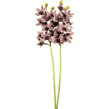 Lara Decor Mor 2'li Sipidyum Orkide Demeti