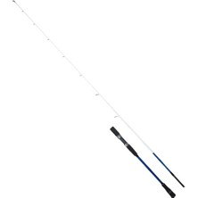Ryuji Bıg Game Fuji  P2.03M 60-140GR 2p Jig Kamış