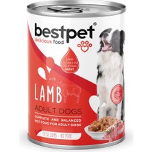 Delixa Bestpet Yetişkin Köpekler Için, Taze Kuzu Parça Etli ve Soslu Yaş Mama, 400 G x 12 Adet