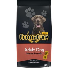 Delixa Econature Yetişkin Köpek Mamasi Somonlu 15 kg