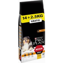 Hepta Collection Pro Plan Medium Adult Tavuklu Yetişkin Köpek Maması 16,5 kg