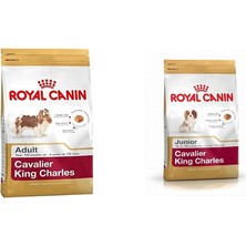Hepta Collection Canin Cavalier King Charles Adult Köpek Maması, 1, 5 kg & Canin Cavalier King Charles Kuru Köpek Mam