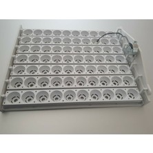 Özgürce Kuluçka Gelişim Viyolü 70, Sağlıklı ve Güçlü Yumurta Yetiştirir