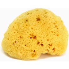 Hepta Collection Okbaby Ince Dokulu Doğal Banyo Süngeri No.14, Büyük