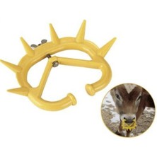 Özgürce Pratik Plastik Inek-Dana Burunsallık, Güvenle Kullanım, Dayanıklı Tasarım