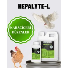 Özgürce Sağlıklı ve Parlak Cilt Için Doğal Içerikli Bakım Ürünü