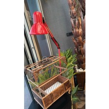 Ceritoğlu Kıskaçlı Masa Lambası - Sıkıştırmalı-Akrobat