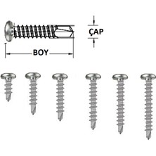 Costech 4.2X25 Ysb Akıllı Vida Matkap Uçlu Std - 100 Adet