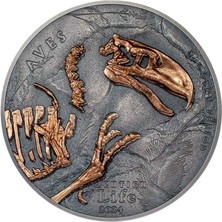 Cit Agakulche Nimravidae Evrimi 2024 1 Ons Gümüş Sikke Coin