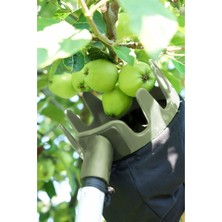 Özgürce Pratik Meyve Toplama Aparatı, Teleskopik Sapli ve Kolay Kullanımlı