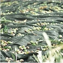 Özgürce Çiftlikten Doğal Zeytin Toplama Filesi, Pratik ve Dayanıklı 4x6 Boyut