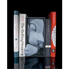 Figürcüm Kedinin Meraklı Köşesi Kitap Stand