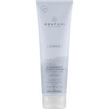 Hype Store Wild Ginger Paul Mitchell Awg Hydrasoft Bakim Kremi 250 ml