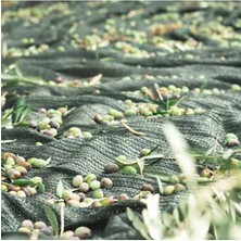 Özgürce Pratik Zeytin Toplama Filesi, 4X10 Adet, Kolay ve Hızlı Kullanım