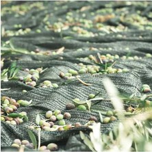 Özgürce Pratik Zeytin Toplama Filesi 6x8, Kolay ve Hızlı Kullanım