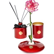 Missi Flora Design-Elegance Kırmızı Cam Vazo