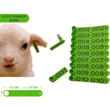 Özgürce Yeşil Renk Kuzu Küpesi 100 Adet + Pens Ucu Hediye, Güvenli ve Şık Tasarım