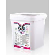 Özgürce 3400G Yoğun Premiks ile Büyüyen Hayvanlar Için Sağlık Desteği