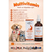 Simply Line Multivitpro Kedi & Köpek Multivitamin Şurup 100 ml – Omega 3-6-9, Vitamin Kompleks, Bağışıklık & Tüy Destekleyici