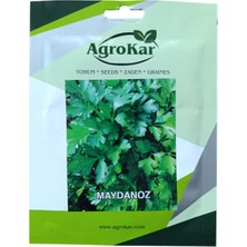 Agrokar Maydanoz Tohumu 10GR