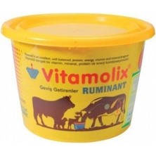 Özgürce Yalama Kovası 25KG – Güçlü ve Dayanıklı Temizlik Aracı