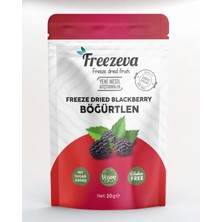 Freezeva Dondurularak Kurutulmuş Böğürtlen 20 gr - Freeze Dried Böğürtlen Kuru Meyve Cipsi