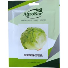 Agrokar Iceberg Marul Tohumu 2 gr