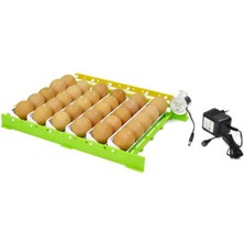 Özgürce Otomatik Kuluçka Gelişim Viyolü, 39,5X28,5 Cm, Adaptör Dahil