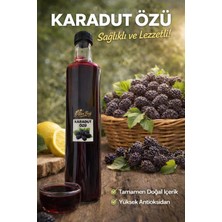 Altınbağ Yöresel Karadut Özü