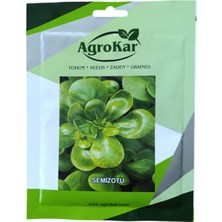 Agrokar Semizotu Tohumu 10 gr